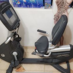 Lifecycle Recumbent Exercise Bike