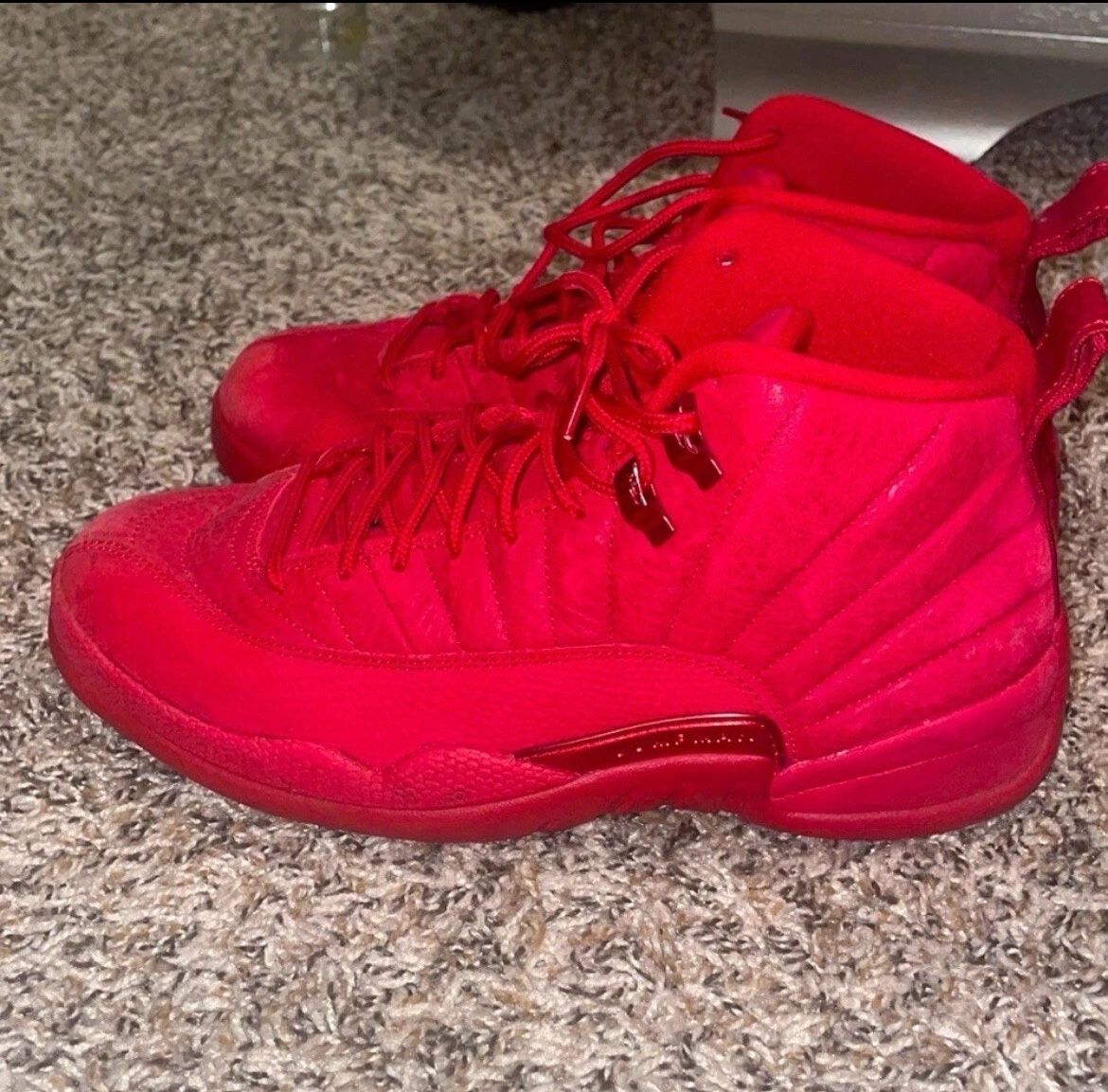 Jordan 12 Size 8