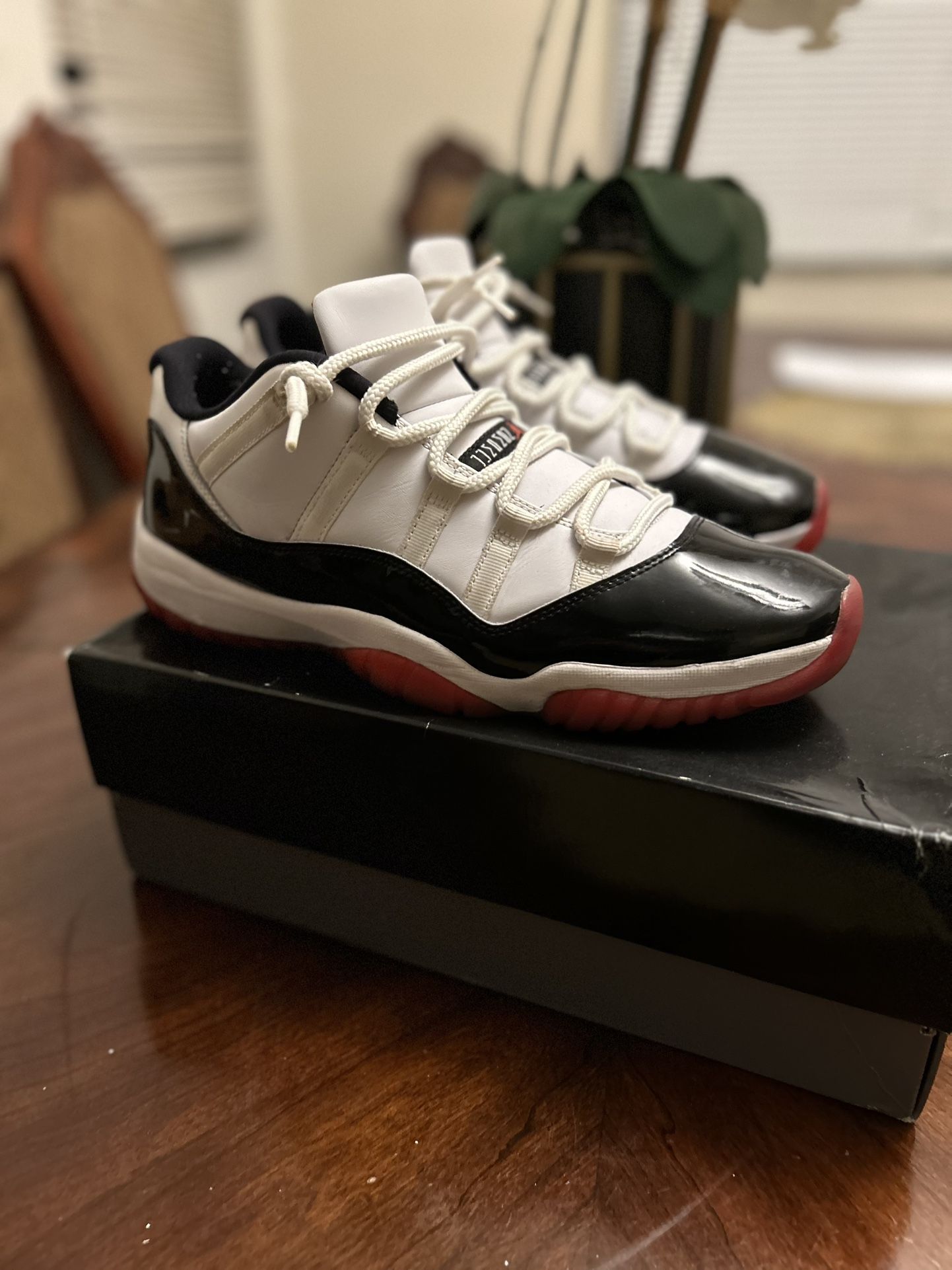 Jordan 11 Retro Low