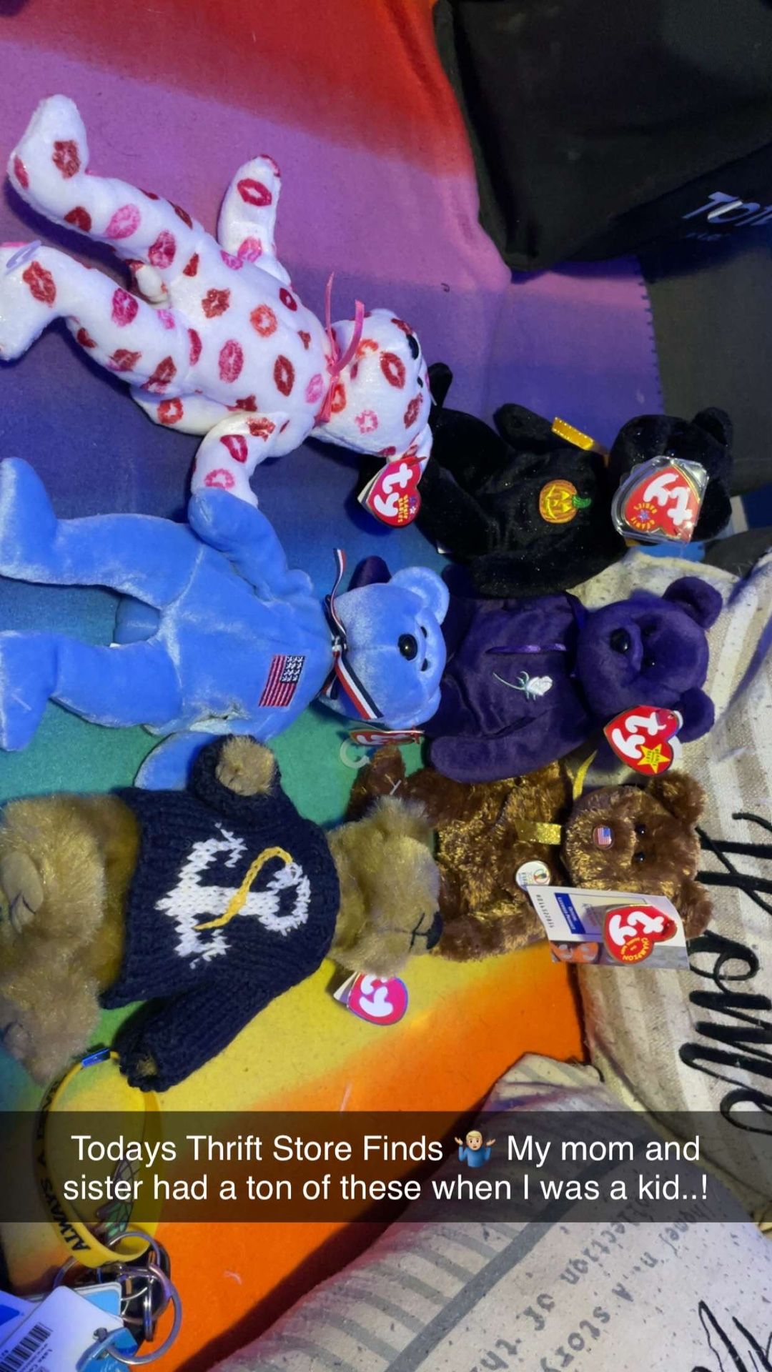 TY Beanie Babies Lot