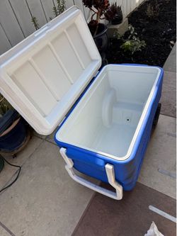 Cooler