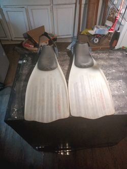 Flippers