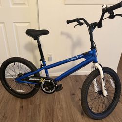 RoyalBaby 20” Kids Bike – Great Condition