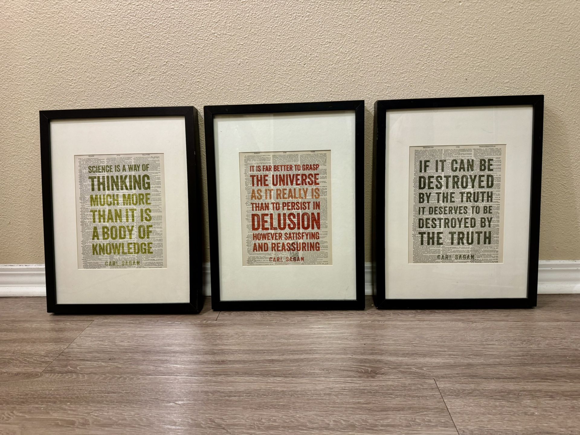 Set of 3 Framed Carl Sagan Quote Prints ~1.5x12.75x17”