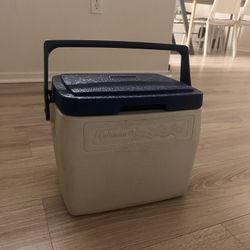 Coleman Small Ice Box