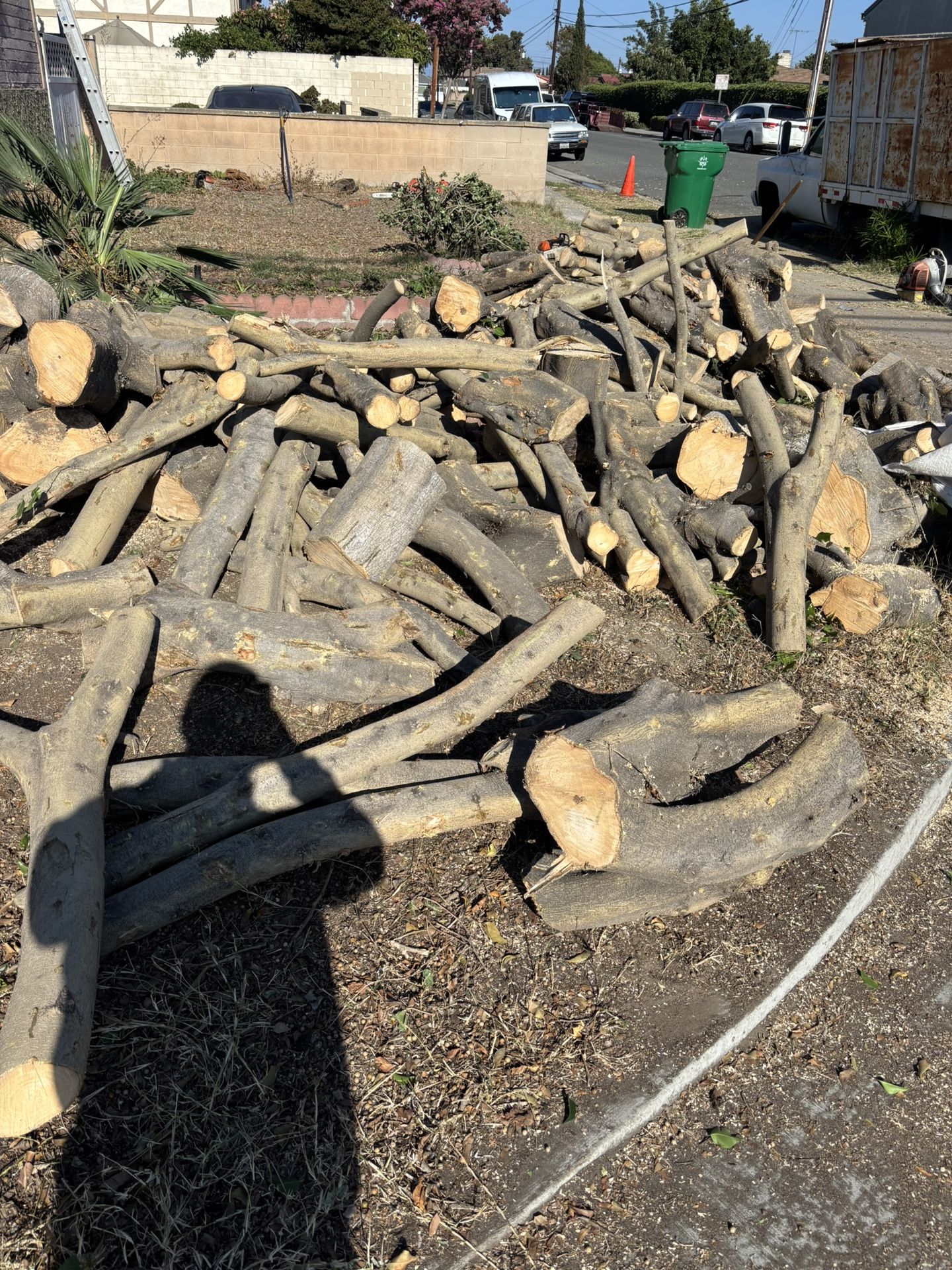 π₯ FREE FIREWOOD ALERT! π₯