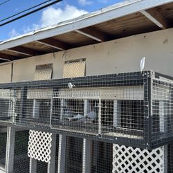 Pigeon Cage And More 