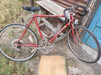 Vintage 1983 Western Flyer 10-speed