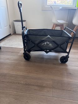 Collapsable Wagon