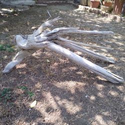 Driftwood For Aquariums Terrariums Decor ..