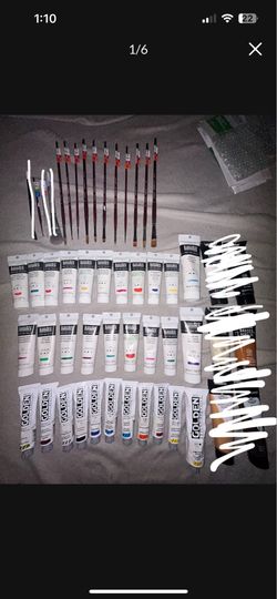 *NOT FREE* BRAND NEW Hard Body Liquitex & Golden Acrylics With Princeton Paint Brushes