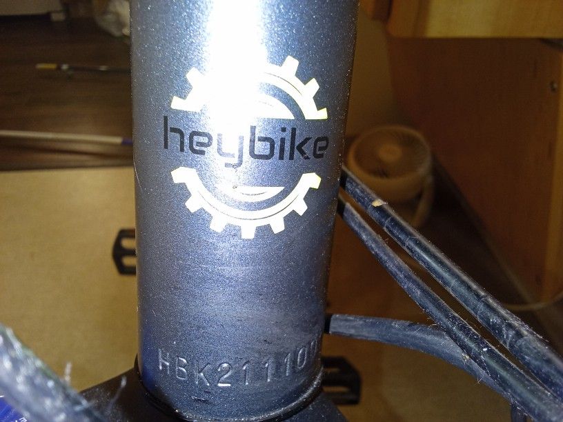 HEY BIKE. ELECTRIC. BIKE