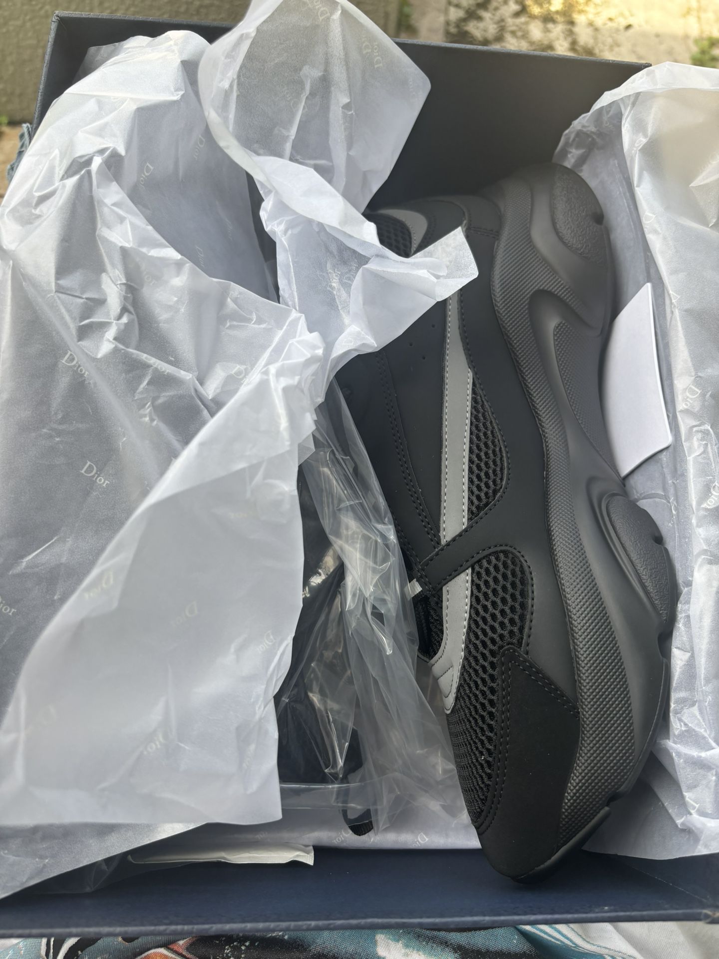 Dior B22