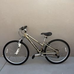 Diamondback Lustre 2 Mountain Bike – 26” Wheels