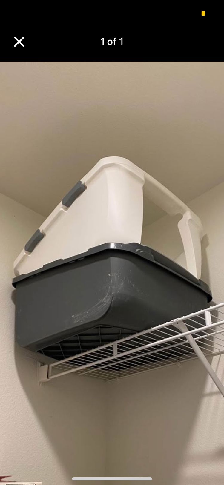 Huge Litter Box