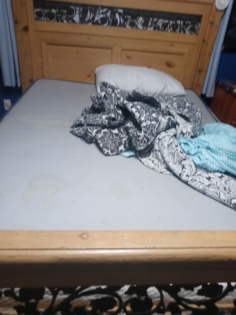 Queen Size Mattress And Box Spring Free
