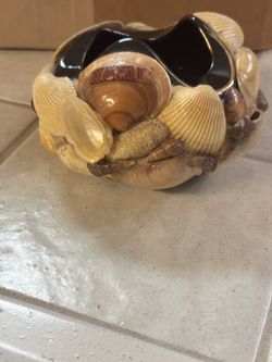 Sea Shell Bowl Trimmed In Gold.