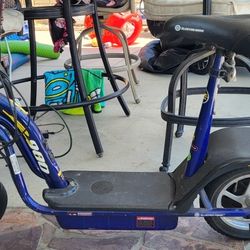 Electric Scooter EZIP 900