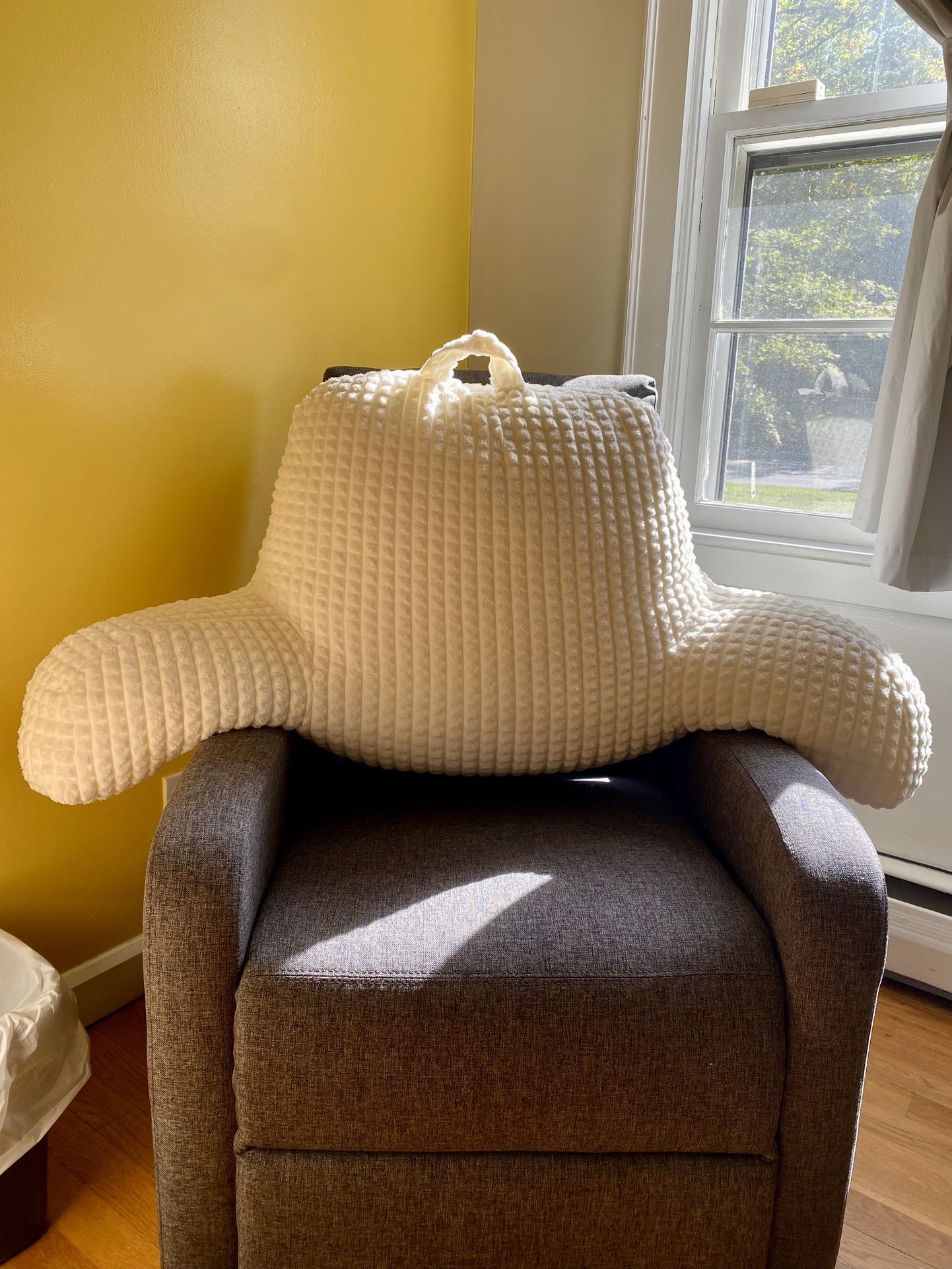 Ready / Nursing Pillow
