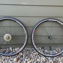 Campagnolo Most Wildcat F3 wheelset