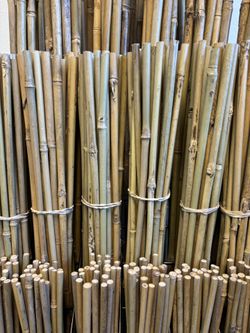 Bamboo Stakes/ Estacas de Bambú