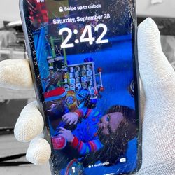 iPhone 11 Screen