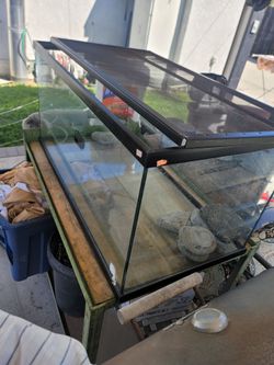 Reptile tank, 36x18x17, about 40gl