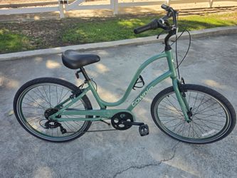 Electra Townie Bicycle