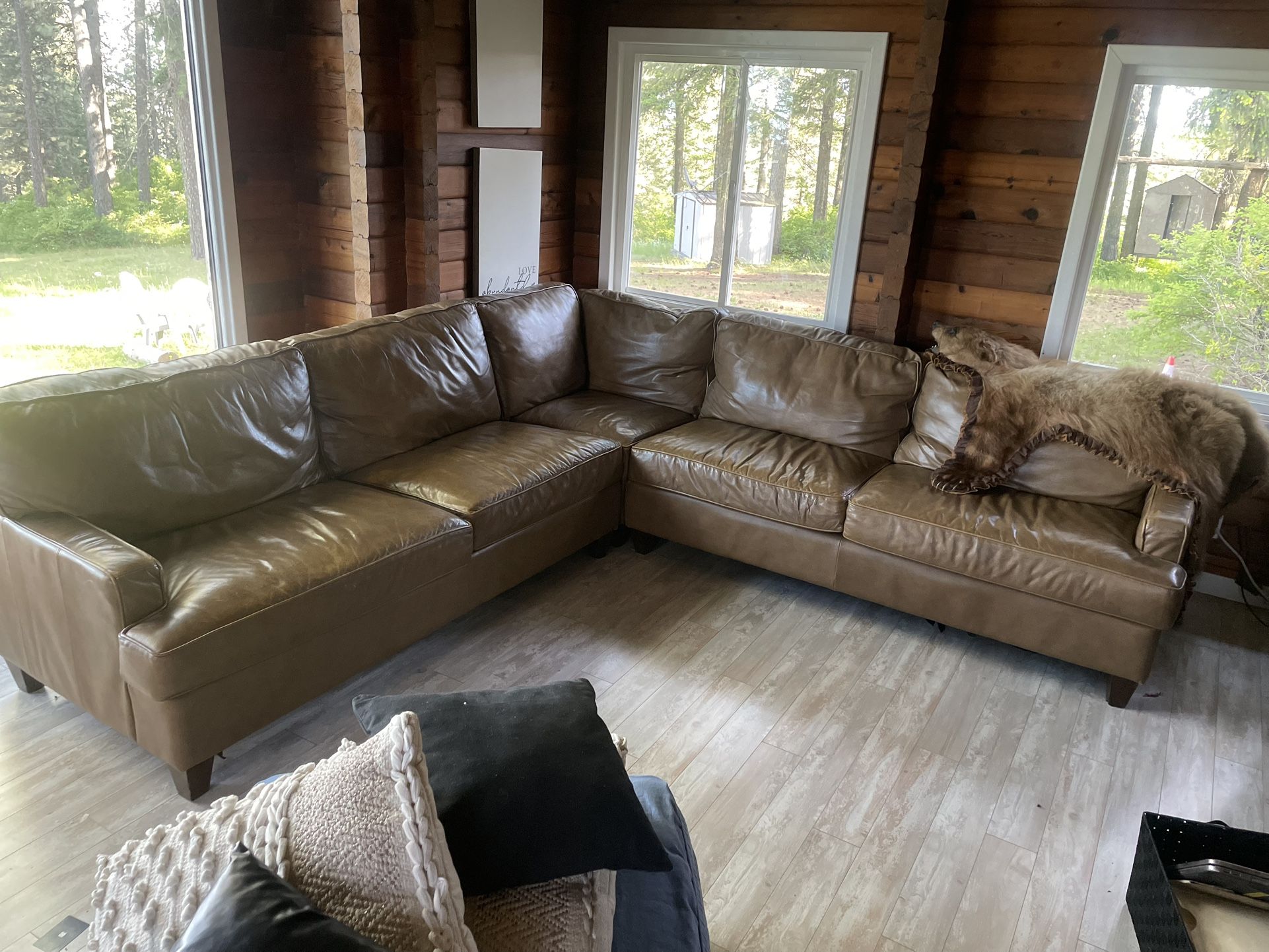 Leather Couch