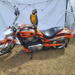 2013 Victory Jackpot