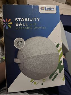 Bintiva Stability Ball