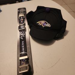  Baltimore Ravens Dog Hat and Collar