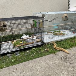 Bird Finch Cage
