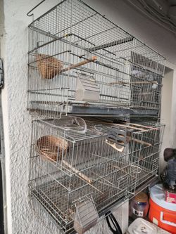 Bird Cages