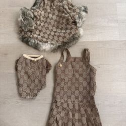 Small Dog Gucci Dress And Jacket