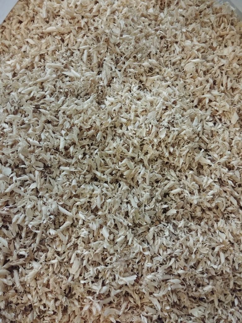 25lbs bags of sawdust