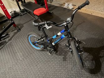 Guardian Kids Bike Black and Blue