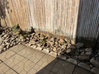 Free River Rock