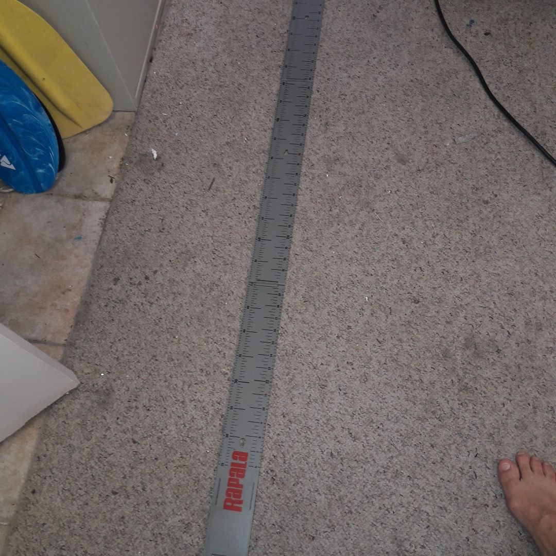 rapala fishing fish length measure