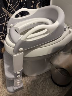 Potty Training Chair