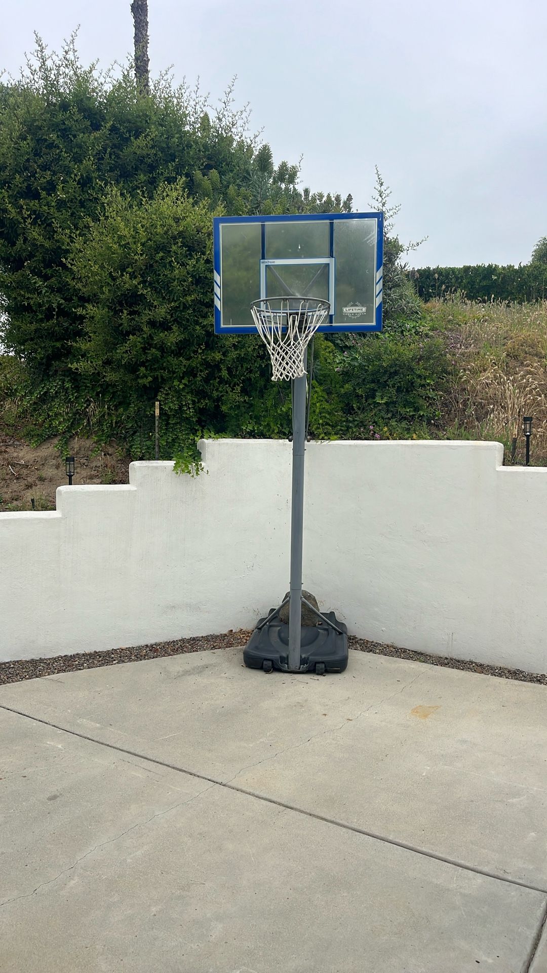 Lifetime Adjustable Basketball Hoop