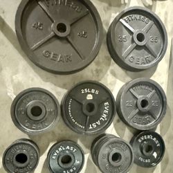 Weights & Curl bar