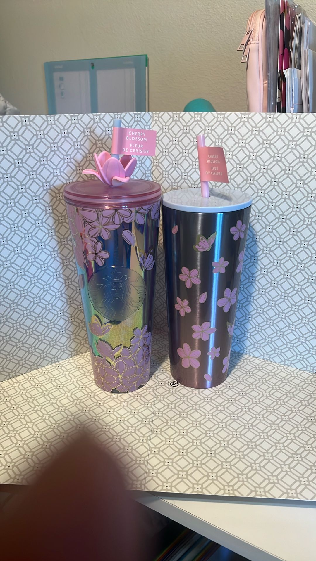Cherry Blossom Starbuck