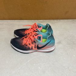 Nike Pegasus Size 10 Women’s 