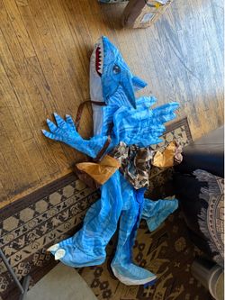Dragon custom in excellent condition  for a 8 or 10 year old