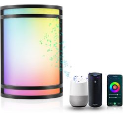 Indoor & Outdoor Smart WiFi LED Wall Sconce 1pc