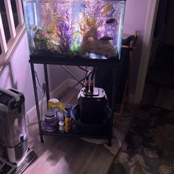 20 Gallon Fish tank and 50 Gallon fish filter all for sale