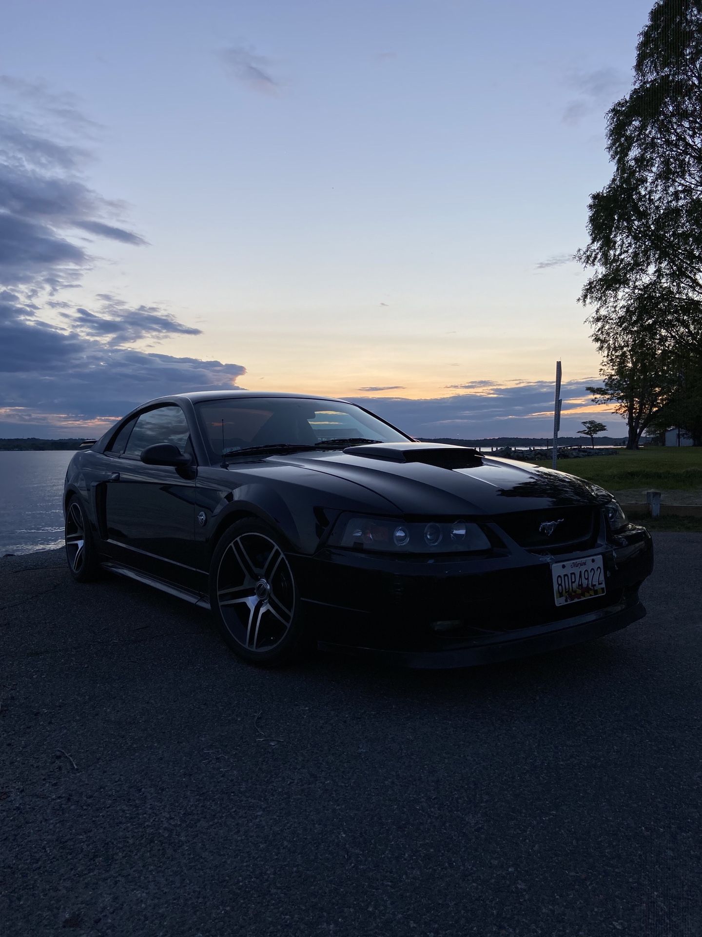 2004 Ford Mustang