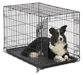 Dog Crate Small 