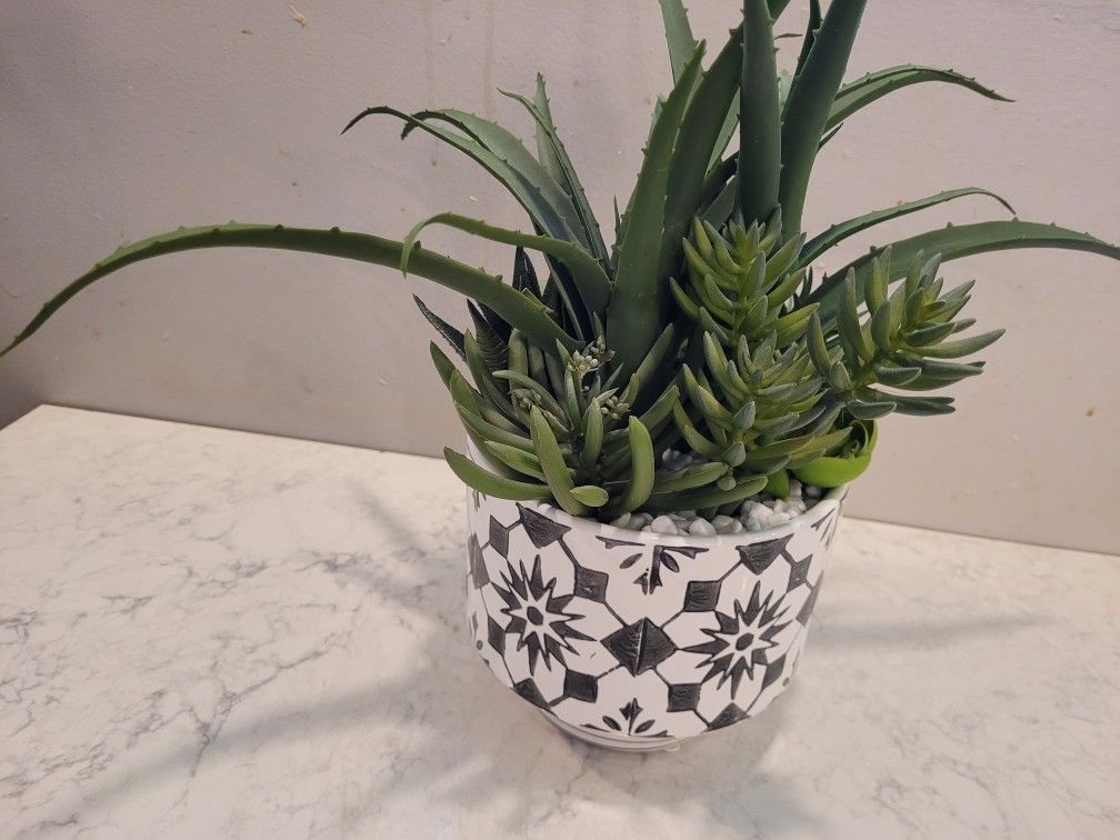 Two Fake Succulent Decor